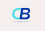 design a sleek and professional wordmark logo